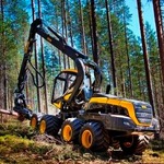wald fernichters Avatar